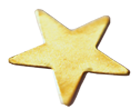 Gold star on student’s paper